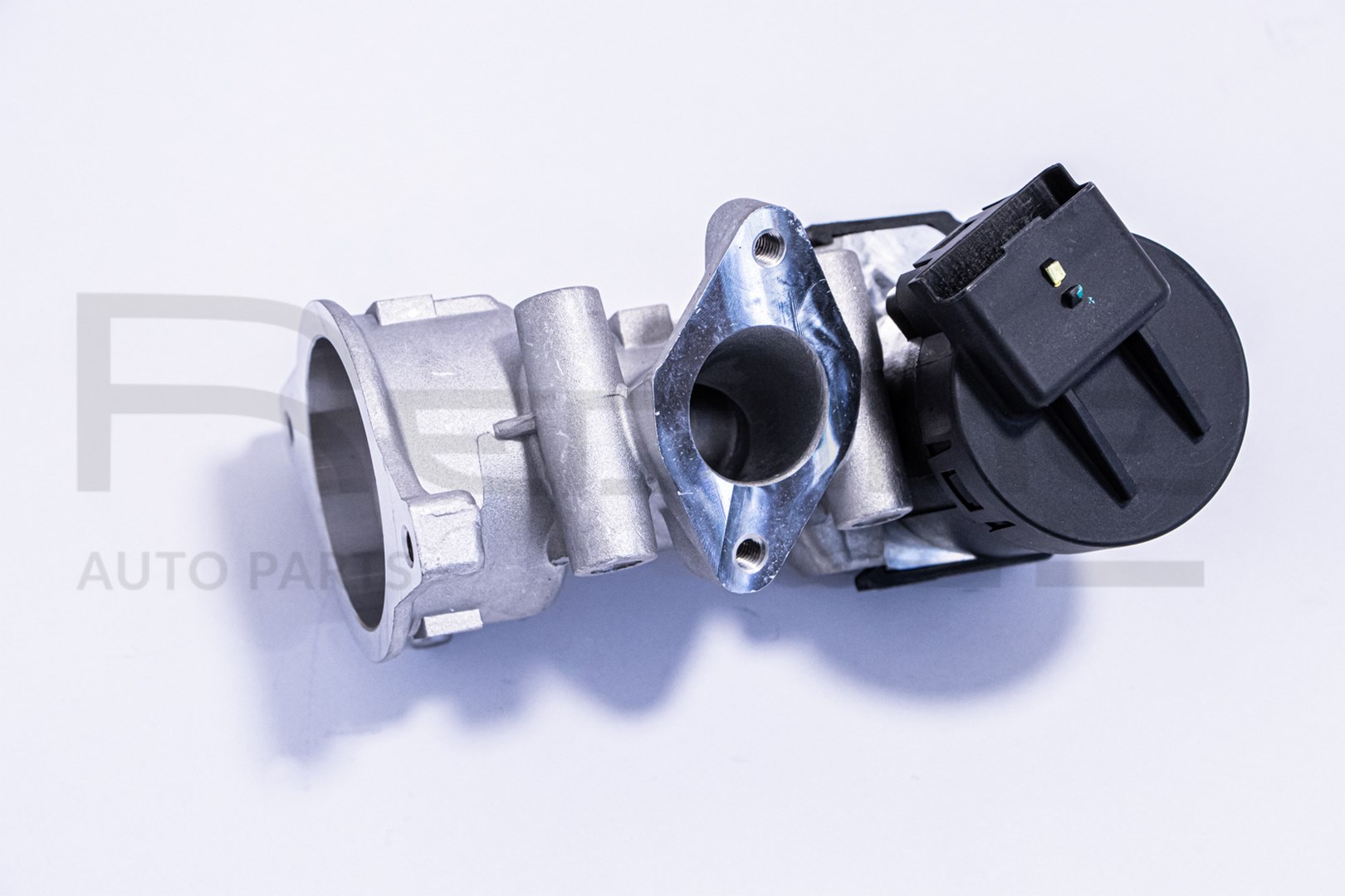 EGR Valve (83CI001)