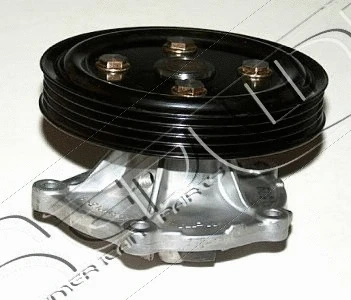 Water Pump, engine cooling (28SZ011)