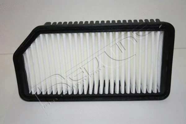 Air Filter (36HY085)