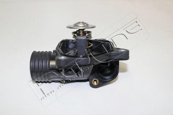 Thermostat, coolant (55RV003)