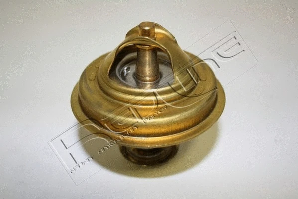 Thermostat, coolant (55TO002)