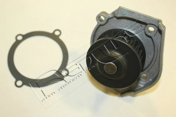 Water Pump, engine cooling (28JE021)