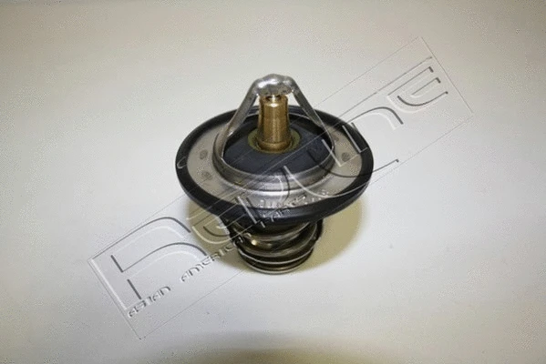 Thermostat, coolant (55TO001)