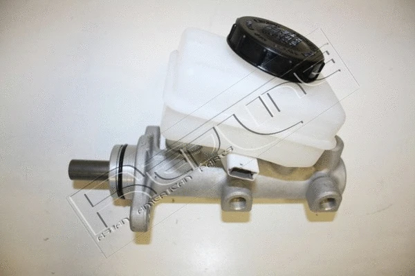Brake Master Cylinder (09NI030)