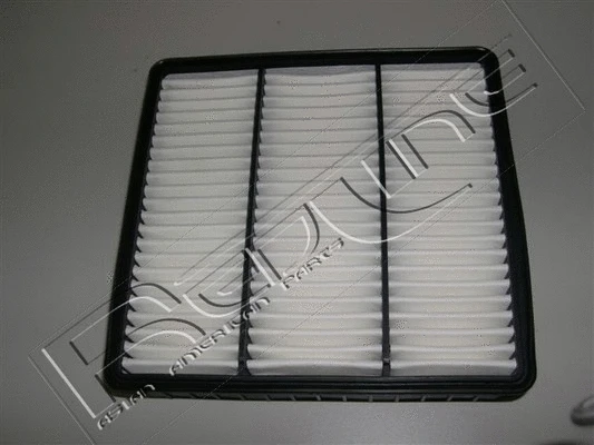Air Filter (36MI009)