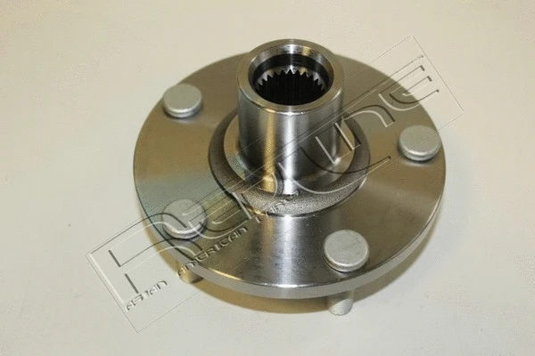Wheel Hub (24NI060)