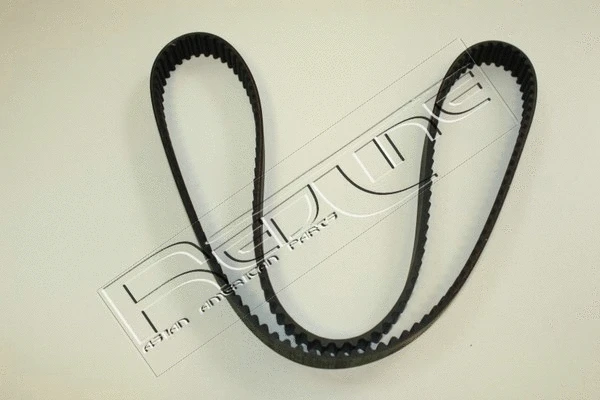 Timing Belt (29MZ006)