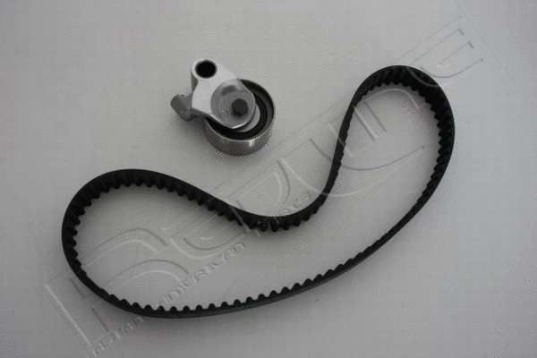 Timing Belt Kit (30TO013)