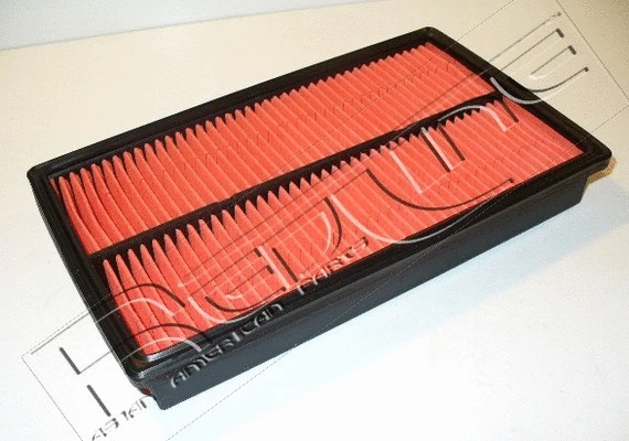 Air Filter (36MZ012)