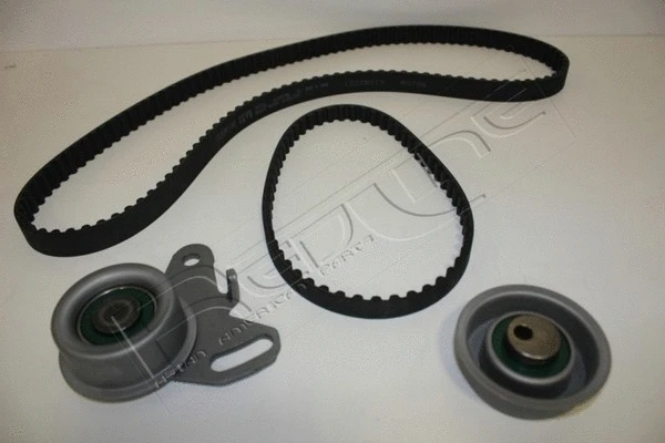 Timing Belt Kit (30MI011)