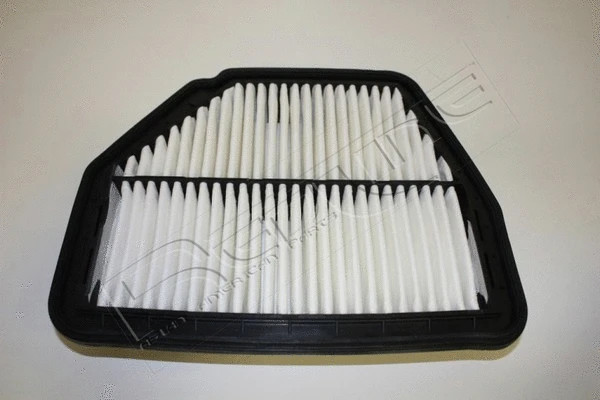 Air Filter (36CV024)