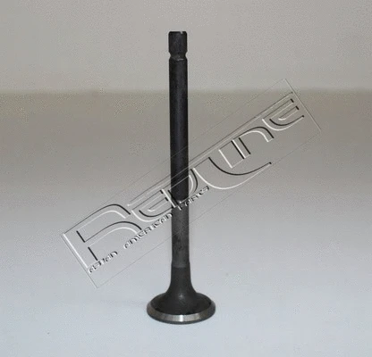 Exhaust Valve (15HY029)