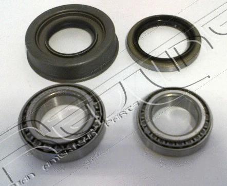 Wheel Bearing Kit (24NI005)