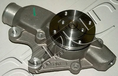 Water Pump, engine cooling (28JE003)