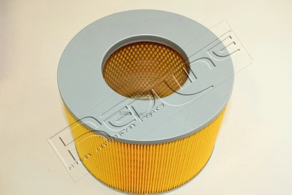 Air Filter (36TO006)