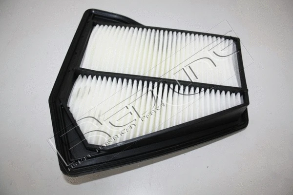 Air Filter (36HO047)