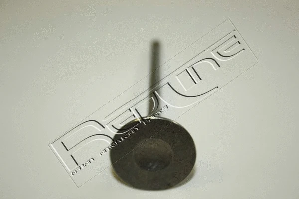 Intake Valve