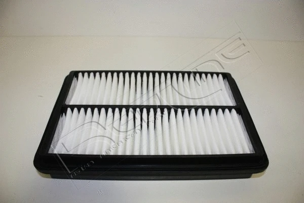 Air Filter (36HY079)