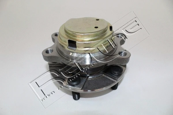 Wheel Hub (24IF002)