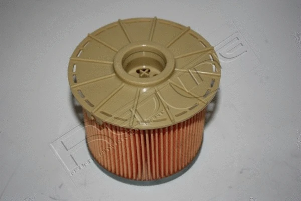 Fuel Filter (37IZ006)