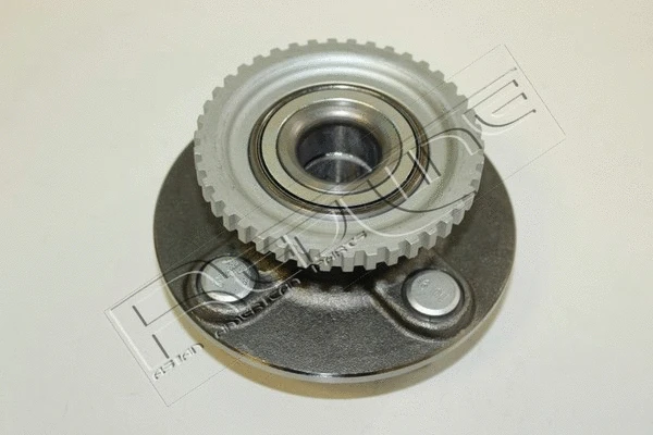 Wheel Hub (24NI059)