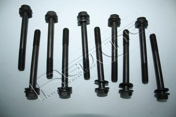 Cylinder Head Bolt Set (00SZ001)