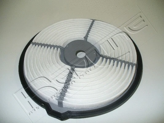 Air Filter (36DA012)