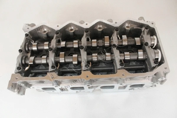 Cylinder Head (21NI034)