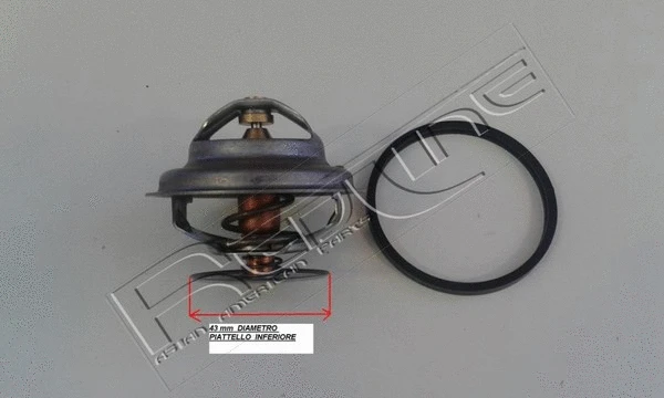 Thermostat, coolant (55CH000)