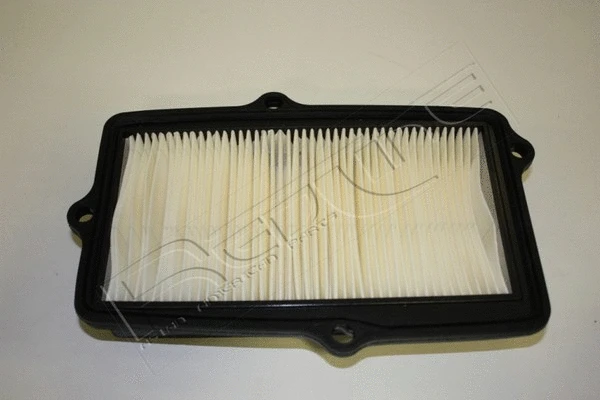 Air Filter (36HO029)