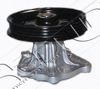 Water Pump, engine cooling (28TO019)