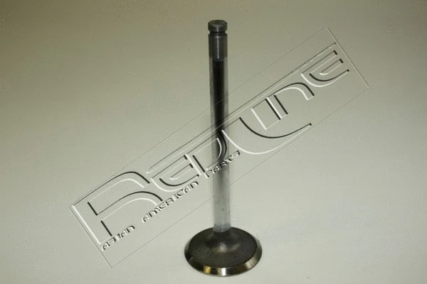 Intake Valve (15NI024)