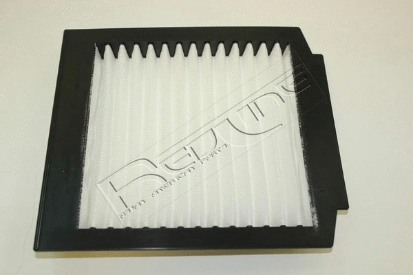 Filter, cabin air (36RV017)