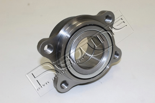Wheel Hub (24NI002)
