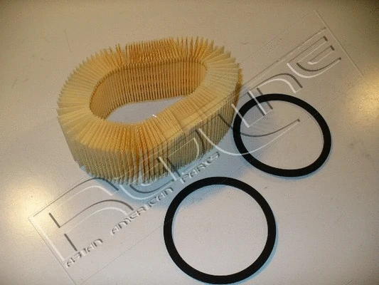 Air Filter (36RV014)