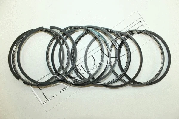 Piston Ring Kit (04MI004)