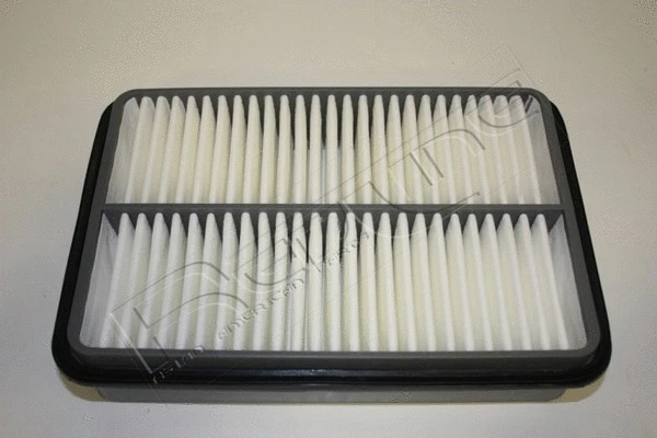 Air Filter (36TO049)