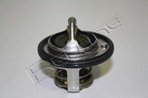 Thermostat, coolant (55MZ000)