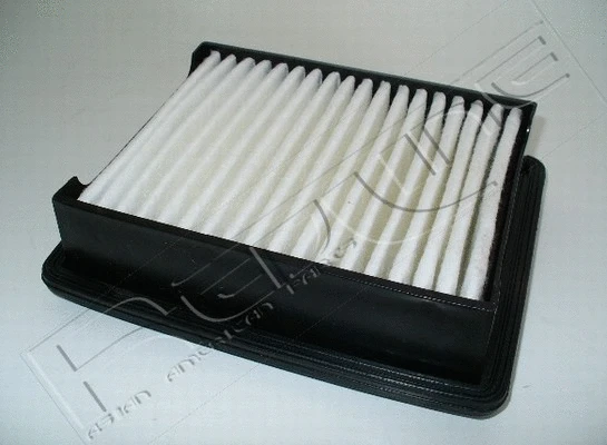 Air Filter (36SZ009)