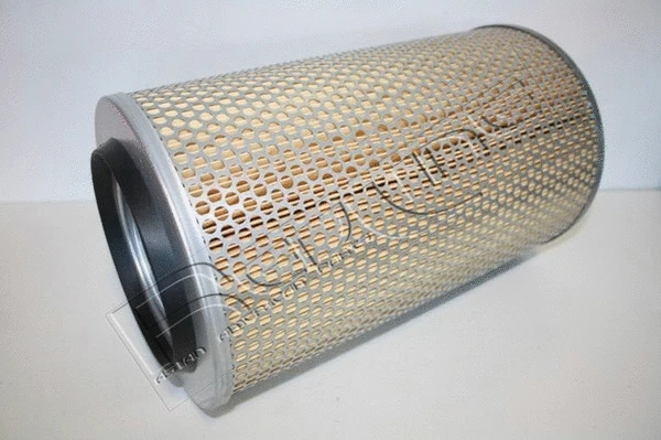 Air Filter (36NI021)
