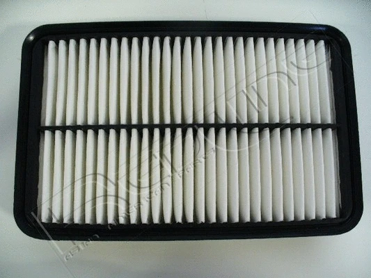 Air Filter (36TO033)