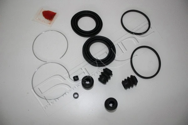 Repair Kit, brake caliper (53MI004)