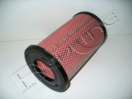 Air Filter (36NI028)