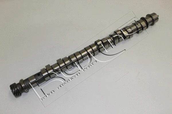 Camshaft (16SZ004)