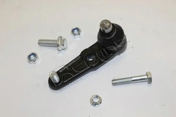 Ball Joint (40MZ070)