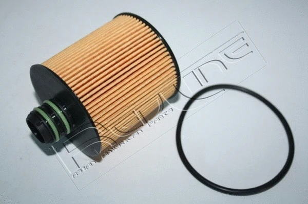 Oil Filter (38FT000)