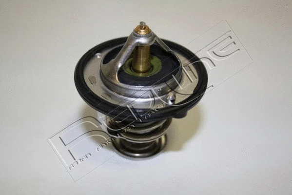 Thermostat, coolant (55MZ001)