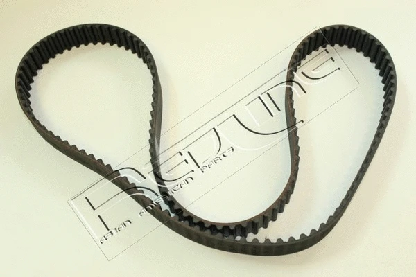 Timing Belt (29NI020)