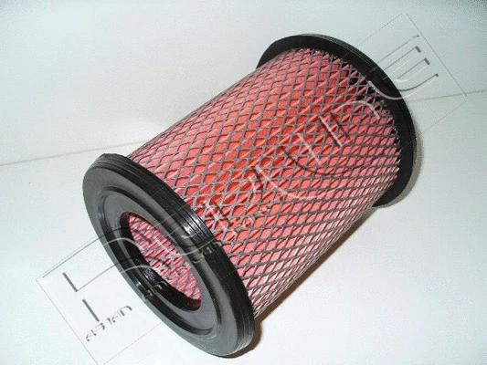 Air Filter (36NI027)
