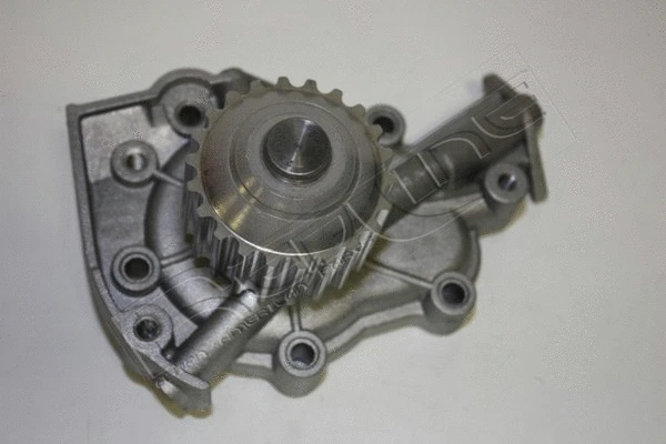 Water Pump, engine cooling (28DW011)